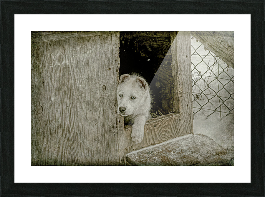 Tremblant 177 Edit Picture Frame print