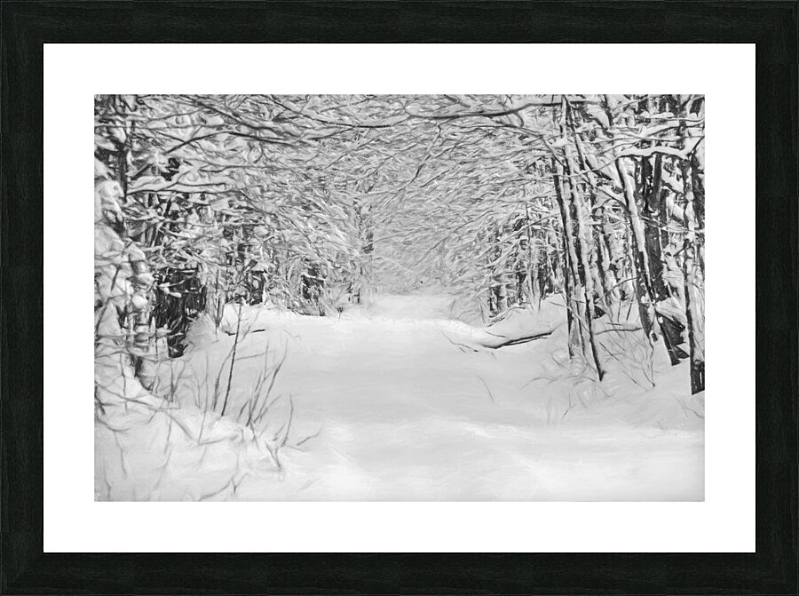 sentier de neige Picture Frame print