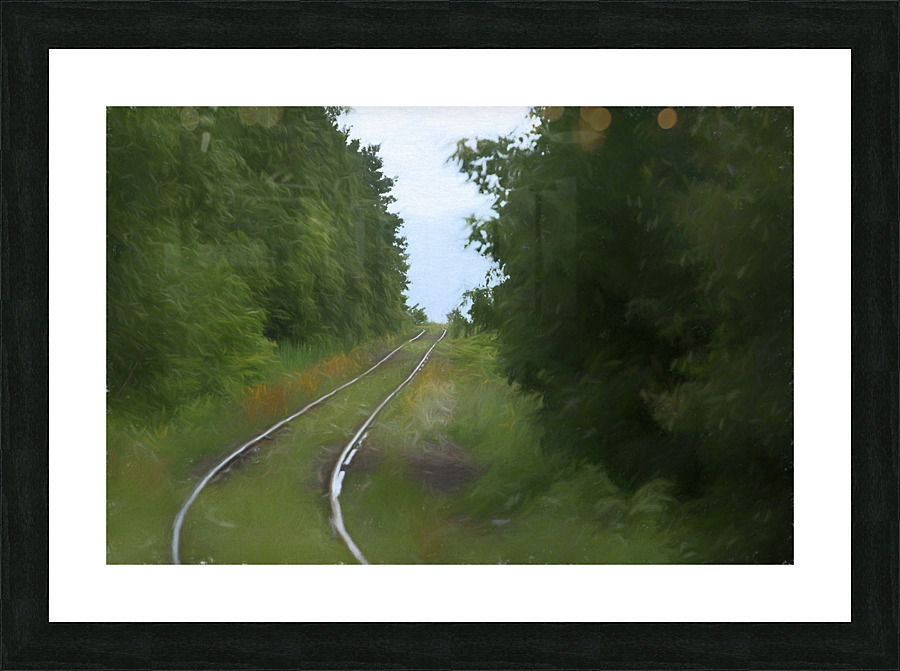 Train va loin Picture Frame print