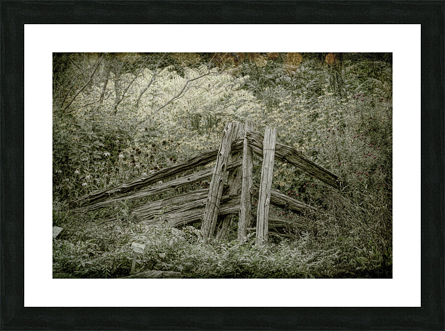 sepia Picture Frame print