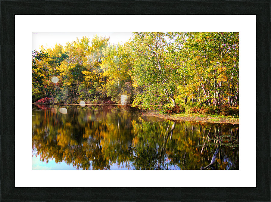 automne Picture Frame print