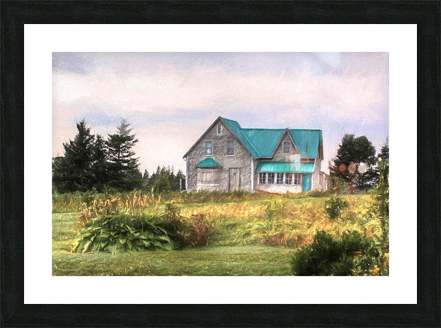 old house Picture Frame print