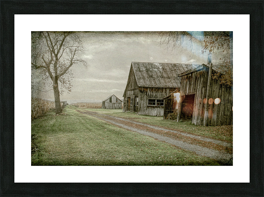 db 053292a Edit4 Picture Frame print