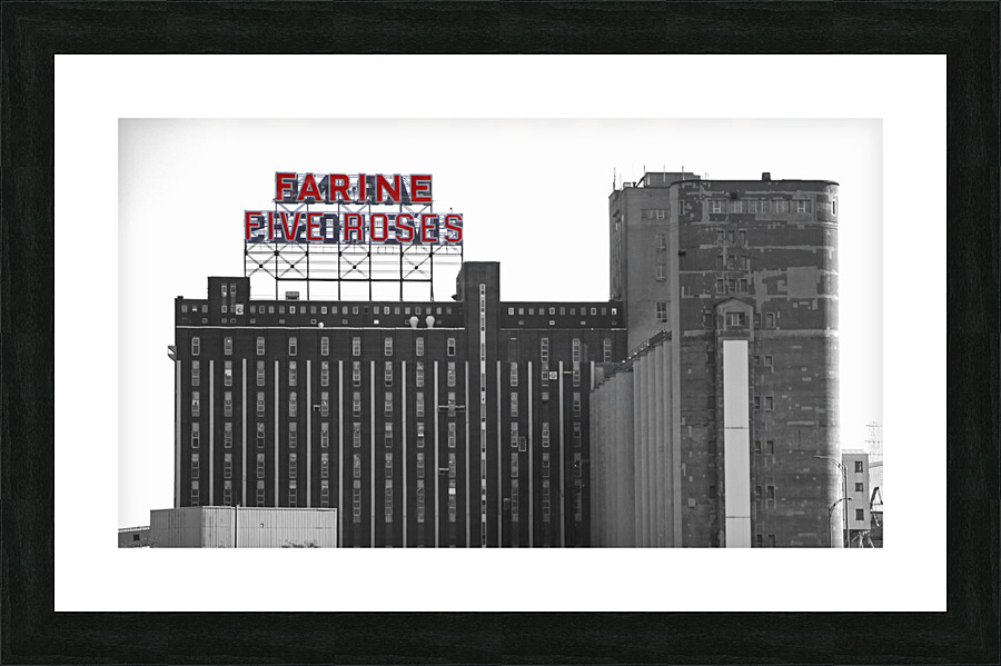 fr1 Picture Frame print