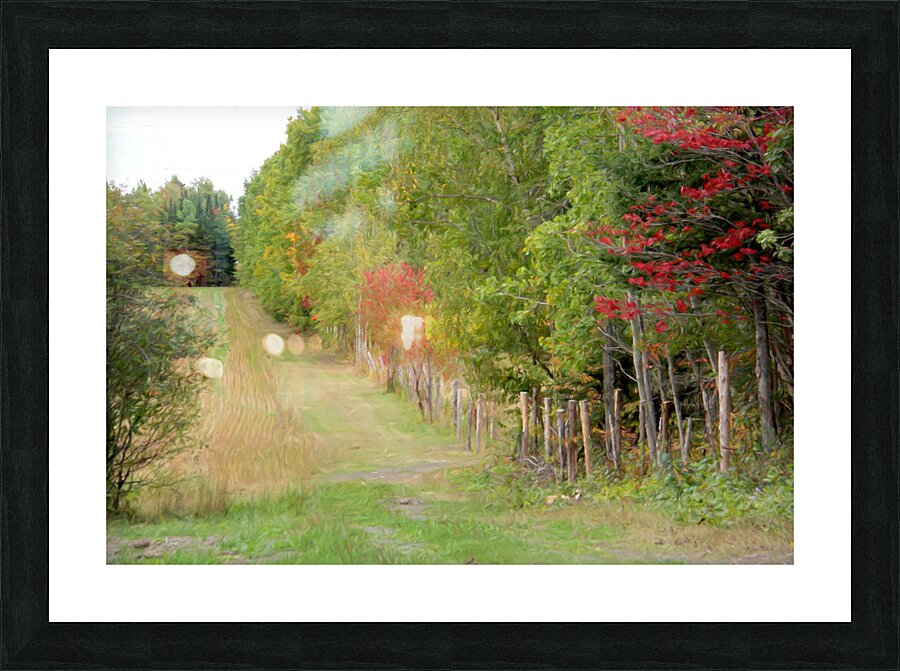 VanGogh fall Picture Frame print