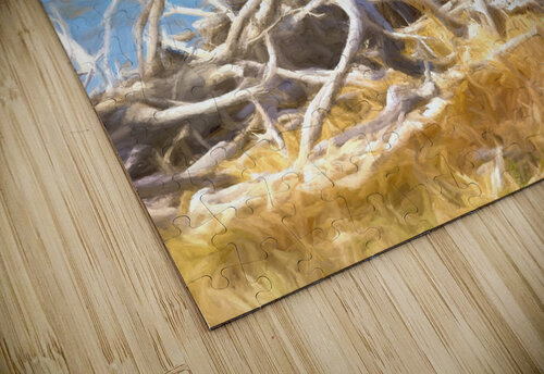 Branches Denis Brien puzzle