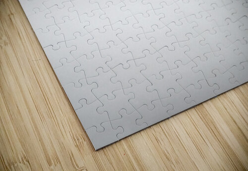 boat08 Denis Brien puzzle