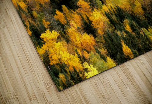 Automne 2a Denis Brien puzzle