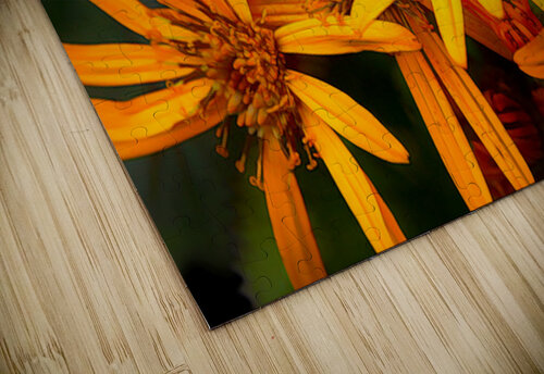 Orange conception Denis Brien puzzle