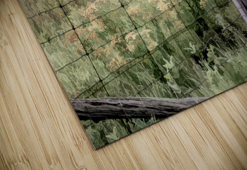 Champ concept Denis Brien puzzle