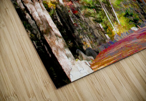 Sentier automne final Denis Brien puzzle