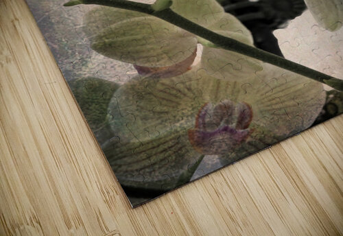 Orchid 4 Denis Brien puzzle