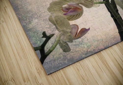 Orchid 2 Denis Brien puzzle