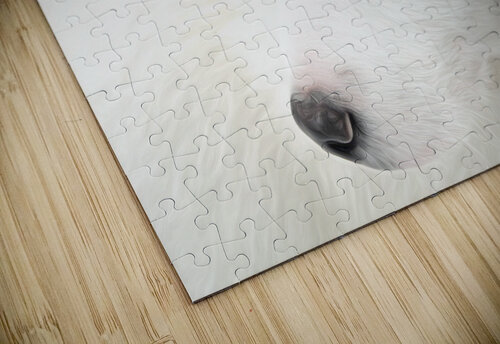 Tremblant 184 Edit Denis Brien puzzle