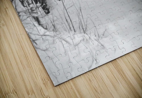sentier de neige Denis Brien puzzle