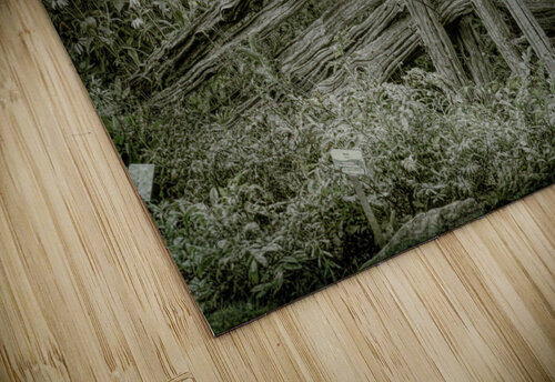 sepia Denis Brien puzzle
