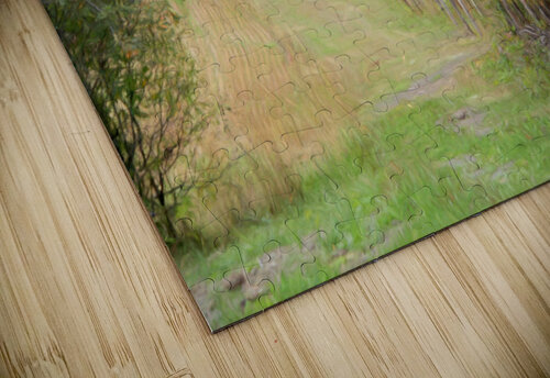 VanGogh fall Denis Brien puzzle