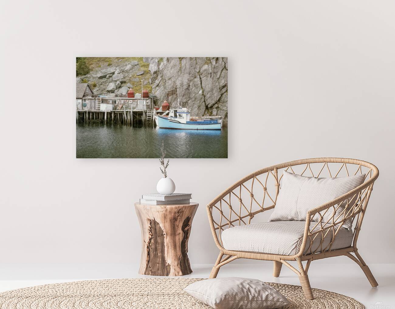 Quidi 07 Reproduction