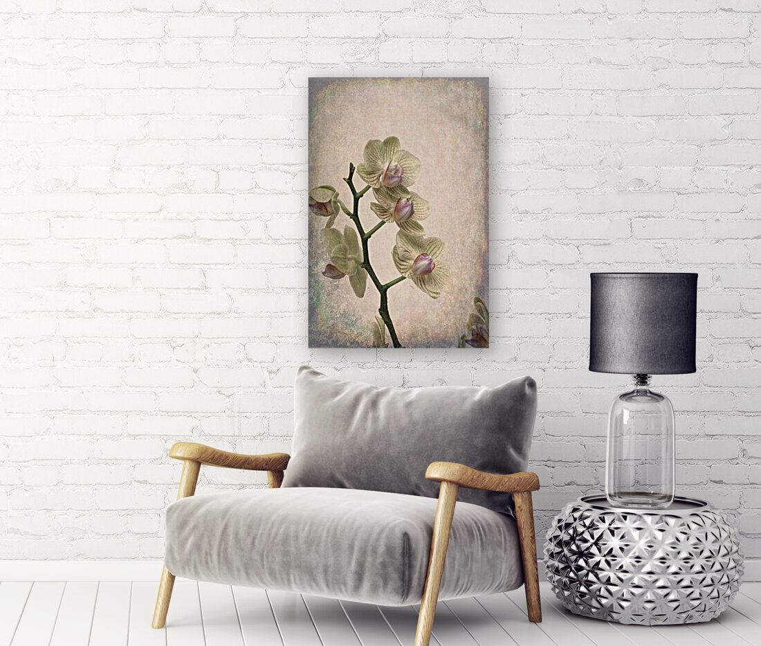 Orchid 1 Reproduction