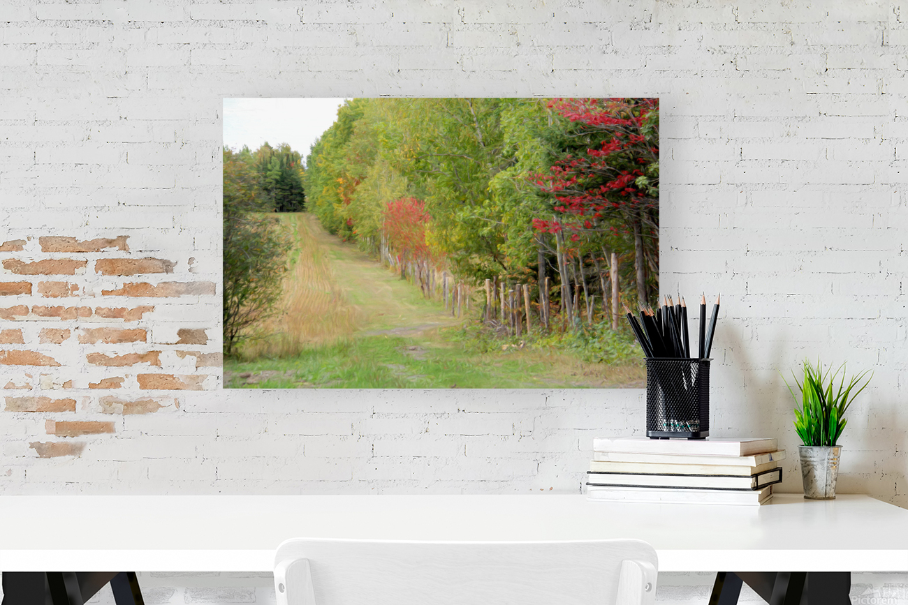 VanGogh fall Reproduction