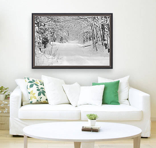 sentier de neige by Denis Brien
