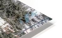 chutesnfld HD Metal print