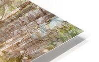 Bouleaux HD Metal print