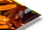 Orange conception HD Metal print