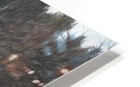 Grey barn HD Metal print