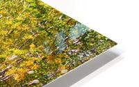 automne HD Metal print