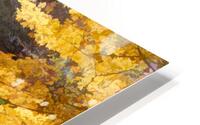 Autumn gate HD Metal print
