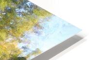coudres3 HD Metal print