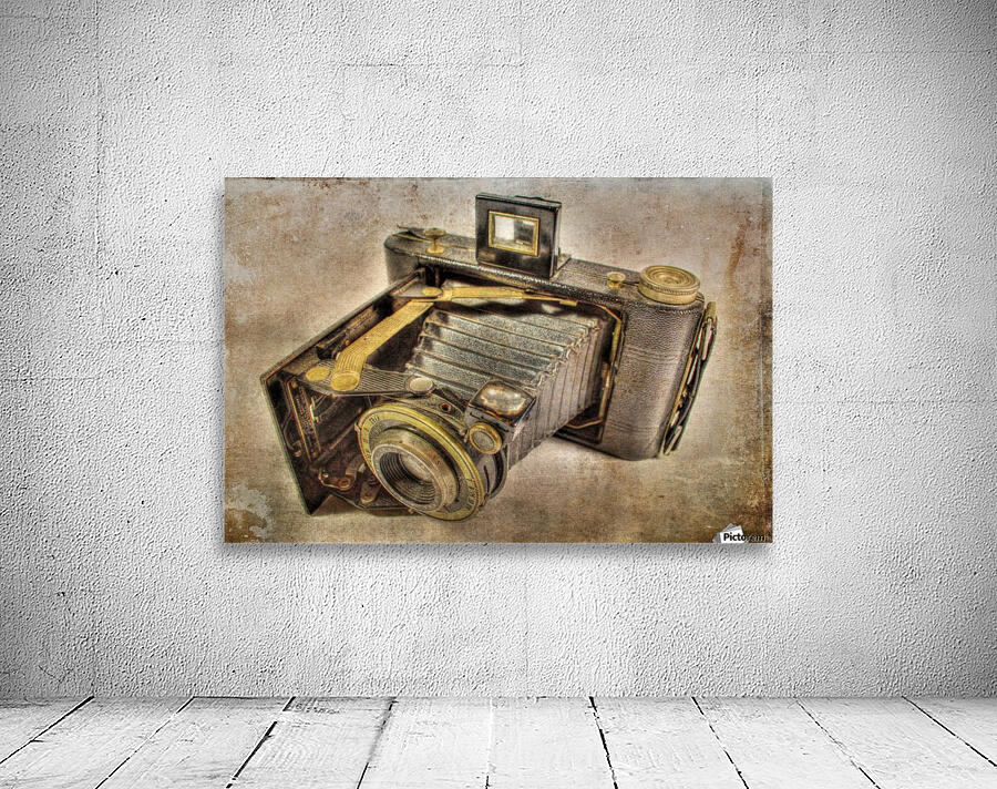 Vintage camera Wall Preview