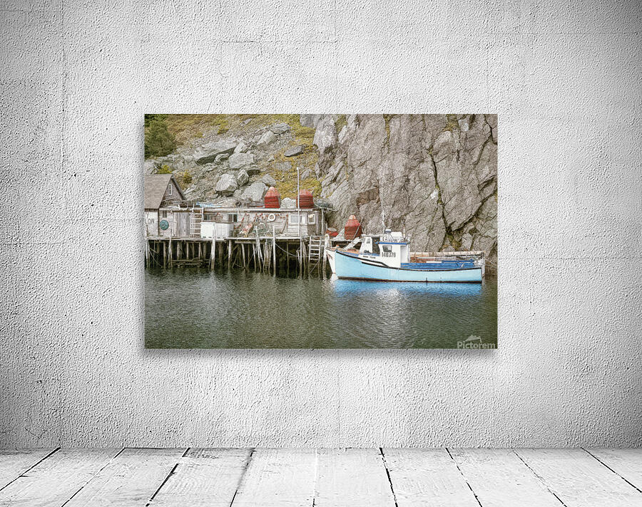 Quidi 07 Wall Preview