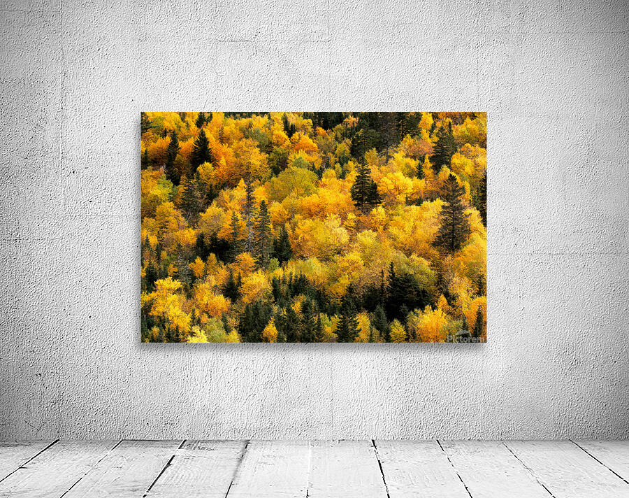 Automne 2a Wall Preview