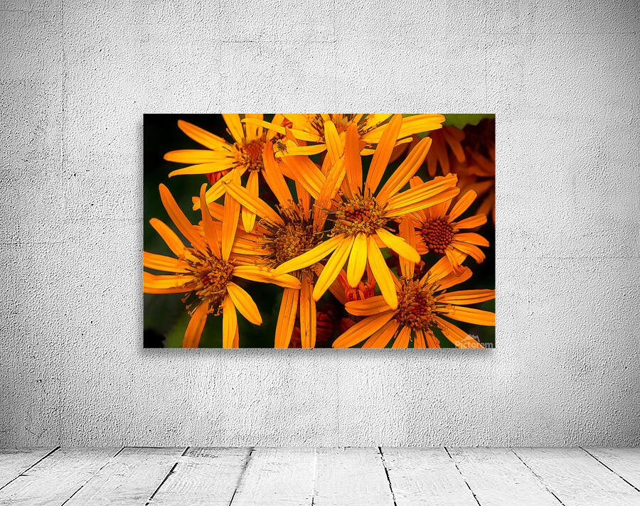 Orange conception Wall Preview
