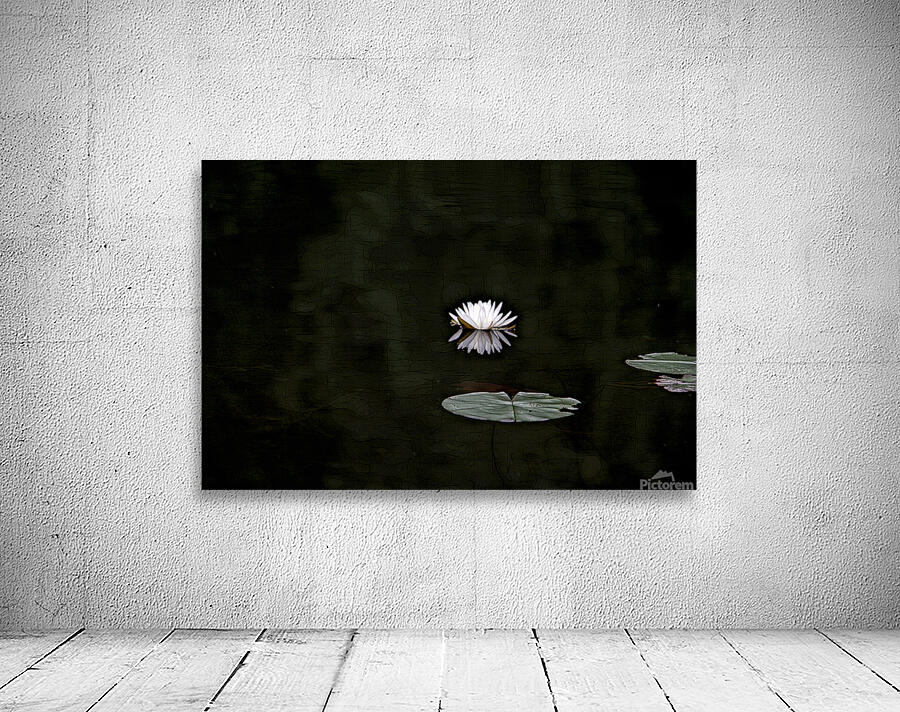 N nuphar Wall Preview