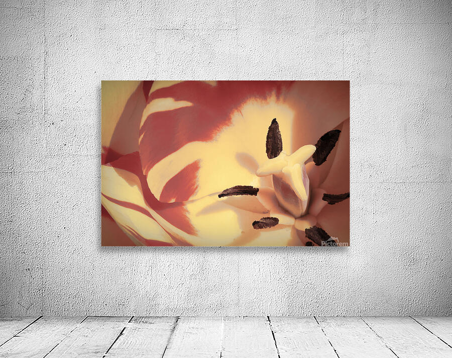 toned Wall Preview