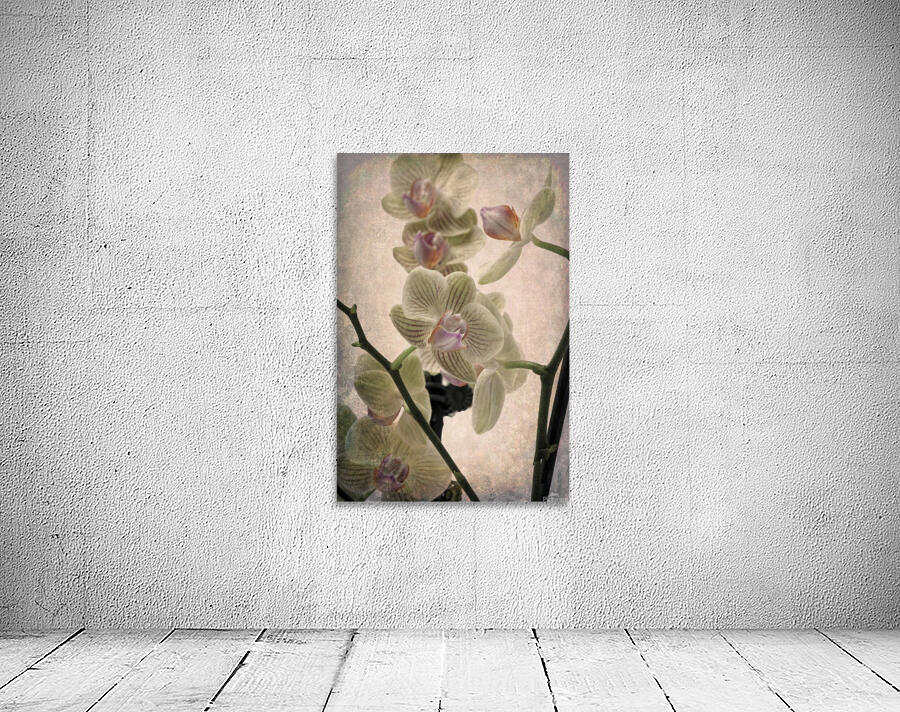 Orchid 4 Wall Preview
