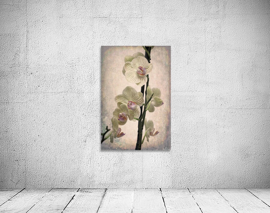 Orchid 2 Wall Preview