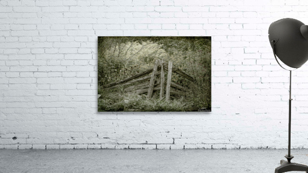sepia Wall Preview