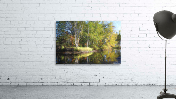 coudres3 Wall Preview