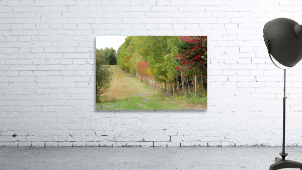 VanGogh fall Wall Preview