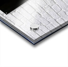 Barn Owl Acrylic print