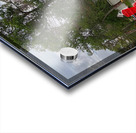 On the Dock Acrylic print