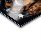 King Charles Spaniel AI Acrylic print