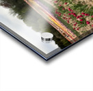 Tulip Farm Acrylic print