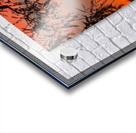 Red Sky at Night Acrylic print