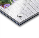 Busy Bee Acrylic print