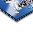 Cycling Reflection Acrylic print